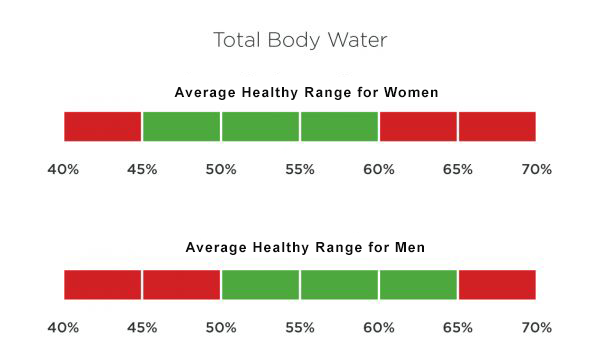 Tanita BF-684W Body Fat / Body Water Scale